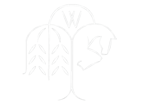 Wicked Woods Equestrian Center